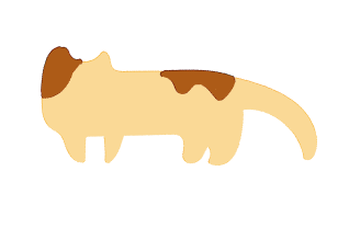 猫のイラスト